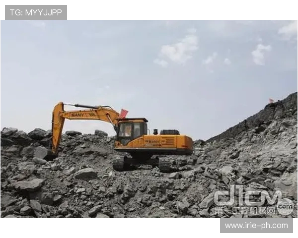 挖掘机致富经真实案例